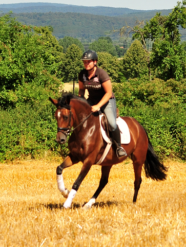 Prmienanwrterin Karida von Oliver Twist u.d. Pr.u.StPrSt. Karena v. Freudenfest  - Foto: Beate Langels -  
Trakehner Gestt Hmelschenburg