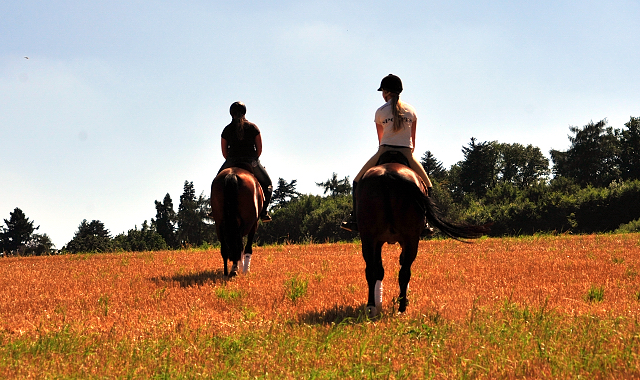 Prmienanwrterin Karida von Oliver Twist u.d. Pr.u.StPrSt. Karena v. Freudenfest  - Foto: Beate Langels -  
Trakehner Gestt Hmelschenburg