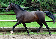 Jahrgang 2008