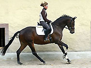 Prmienstute Glorilou von Shavalou u.d. Elitestute Gloriette v. Kostolany