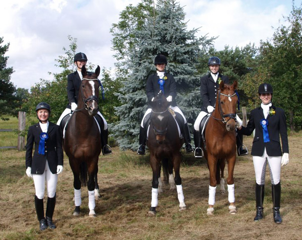 Viareggio - Dunkelbrauner Trakehner Wallach von Exclusiv - Showmaster - 2009