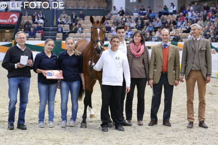 Trakehner Hengst HIGH MOTION von Saint Cyr u.d. Hanna v. Summertime  - Foto: Beate Langels, Trakehner Gestt Hmelschenburg