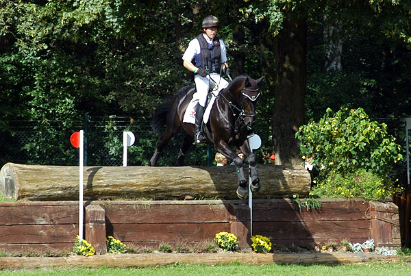 Bundeschampion 2010: Songline v. Summertime - Exclusiv, 6jährig - Foto: Beate Langels, Gestüt Hämelschenburg