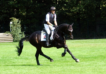 Bundeschampion 2010: Songline v. Summertime - Exclusiv, 6jhrig - Foto: Beate Langels, Gestt Hmelschenburg