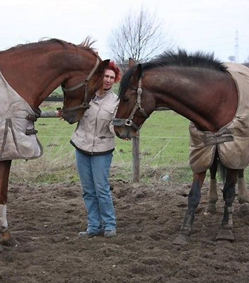 Khedira von Summertime u.d. ESt. Kalmar v. Exclusiv - Trakehner Gestt Hmelschenburg - Foto: Beate Langels