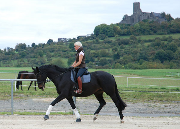 Vitalia v. Exclusiv - Showmaster, Gestt Hmelschenburg, Foto: privat