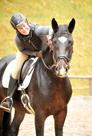 Sir Kosto - Trakehner Hengst von Kostolany u.d. Schwalbenfeder v. Summertime - Foto: Beate Langels