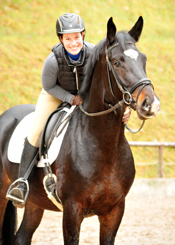 Sir Kosto - Trakehner Hengst von Kostolany u.d. Schwalbenfeder v. Summertime - Foto: Beate Langels