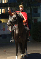 Trakehner Hengst Alter Fritz und Karolin Mller