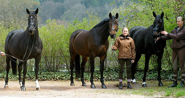 Pr.St. Vittoria - Pr.St. Verouschka und Vitalia - aus der Vicenza v. Showmaster - Foto: Beate Langels