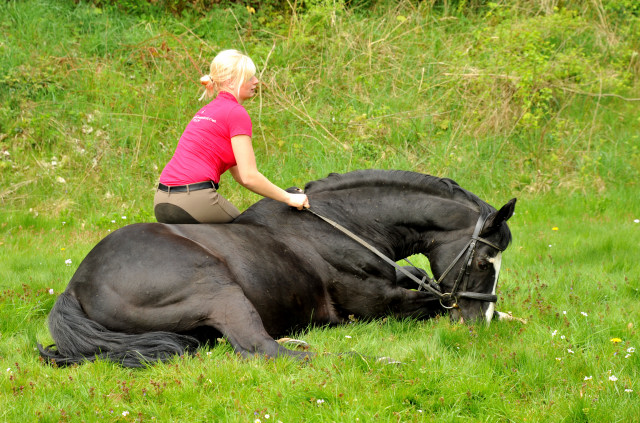 Alter Fritz v. Chardonnay und Pia - Foto: Beate Langels