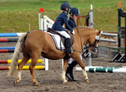 Cinja und Greta - Foto Beate Langels- Trakehner Gestt Hmelschenburg