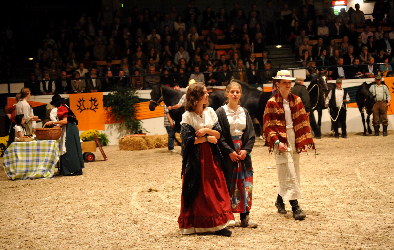 Wehlauer Pferdemarkt - Foto: Beate Langels, Trakehner Gestt Hmelschenburg