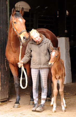 Trakehner Stutfohlen von Oliver Twist u.d. Prmien- und Staatsprmienstute Karena v. Freudenfest - Foto: Beate Langels, Trakehner Gestt Hmelschenburg