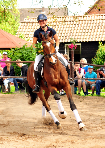 Trakehner KACYRO v. Saint Cyr u.d. Pr.,StPr. u. Elitestute Karena v. Freudenfest - Foto: Beate Langels - Trakehner Gestt Hmelschenburg