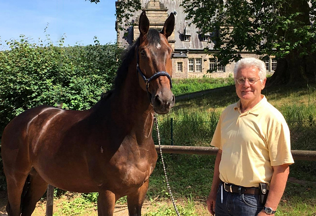 Valentiano v. Exclusiv u.d. Vicenza - Foto: Beate Langels - Trakehner Gestt Hmelschenburg
