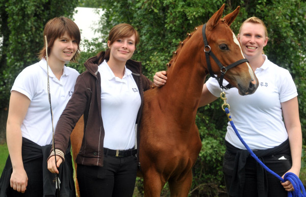 Stutfohlen von Symont u.d. Pr.u.StPrSt. Vittoria v. Exclusiv - Trakehner Gestt Hmelschenburg - Foto: Beate Langels - Trakehner Gestt Hmelschenburg