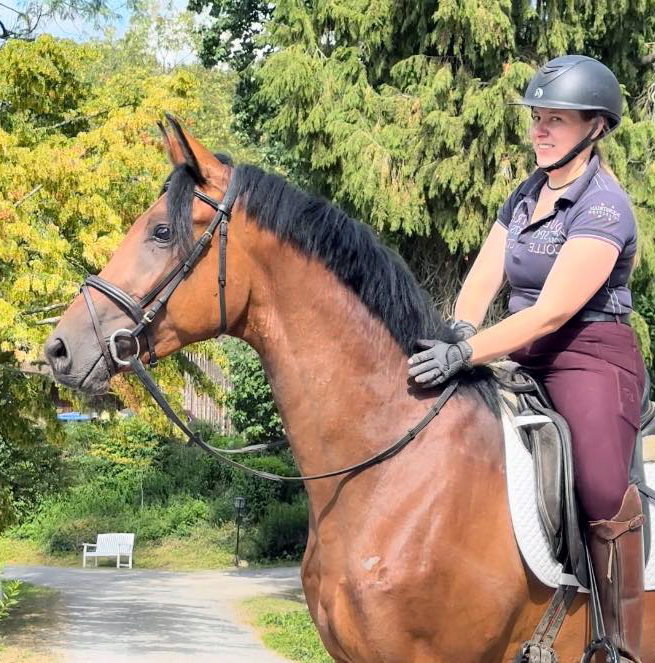Trakehner v. Schpitzer u.d. Pr.A. Schwalbe's Beauty v. High Motion - Foto: Beate Langels
