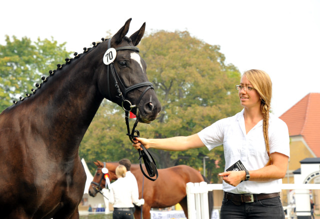 Grace Conelly von Shavalou u.d. Elitestute Gloriette v. Kostolany und Richard Langels, Foto: Beate Langels