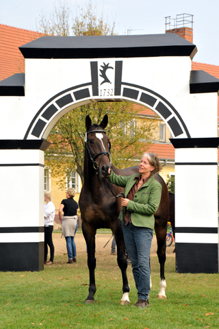 Kendra von Freudenfest  - 1b Preistrgerin der 6. Trakehner Bundesstutenschau in Neustadt/Dosse - Foto: Sabine Langels - Gestt Schplitz