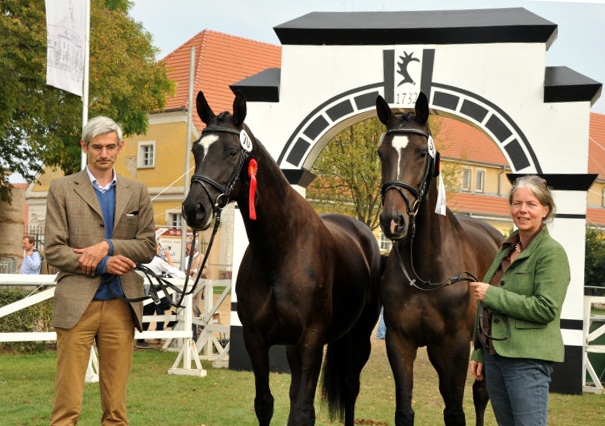 Grace Conelly von Shavalou u.d. Elitestute Gloriette v. Kostolany und Kendra von Freudenfest, Foto: Beate Langels