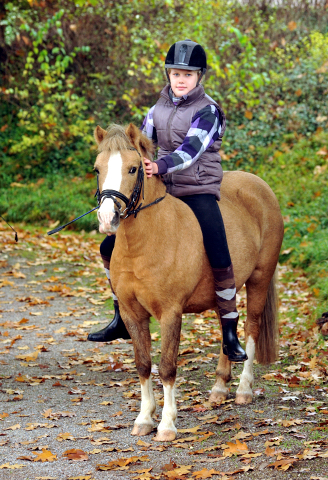 Pauline und Cinya 21.10.2015  - Foto Beate Langels - Trakehner Gestt Hmelschenburg