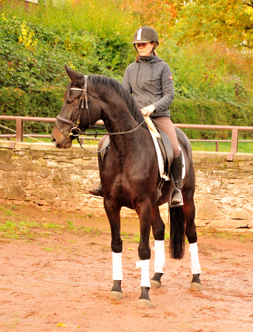 Kahlessi von El Greco u.d. Pr.u.StPrSt. Kendra v. Freudenfest  - Foto: Beate Langels -
Gest t Sch plitz