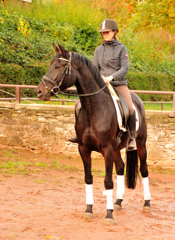 Kahlessi von El Greco u.d. Pr.u.StPrSt. Kendra v. Freudenfest  - Foto: Beate Langels -
Gest t Sch plitz