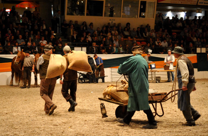 Wehlauer Pferdemarkt - Foto: Beate Langels, Trakehner Gestt Hmelschenburg
