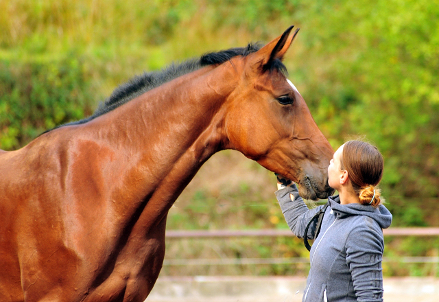 Schwalbenland von Touch my Heart u.d. Schwalbenlicht v. Imperio - Trakehner Gestt Hmelschenburg - Beate Langels