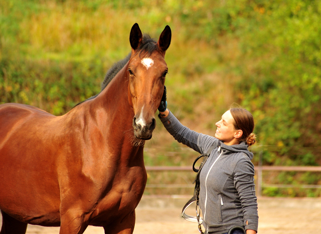 Schwalbenland von Touch my Heart u.d. Schwalbenlicht v. Imperio - Trakehner Gestt Hmelschenburg - Beate Langels