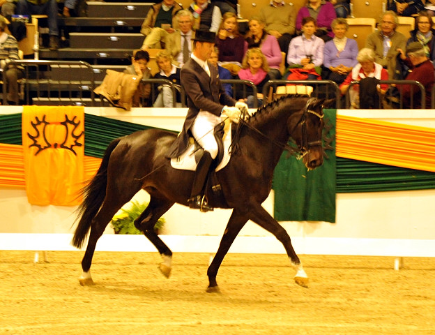 Seal - Trakehner von Gribaldi u.d. Pr.St. Schwalbenspiel v. Exclusiv, Trakehner Gestt Hmelschenburg