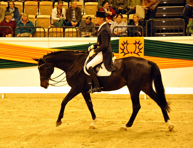 Seal - Trakehner von Gribaldi u.d. Pr.St. Schwalbenspiel v. Exclusiv, Trakehner Gestt Hmelschenburg