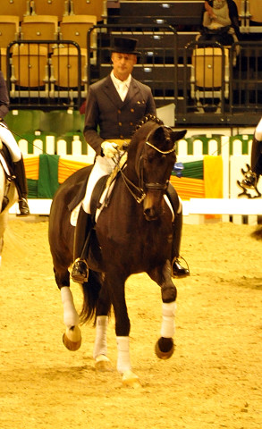 Seal - Trakehner von Gribaldi u.d. Pr.St. Schwalbenspiel v. Exclusiv, Trakehner Gestt Hmelschenburg