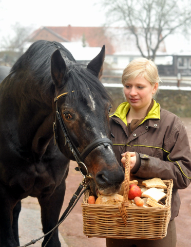 Exclusiv von Starway u.d. StPrSt. Elysee v. Zauberklang - am 22. Dezember 2012, Foto: Beate Langels, Trakehner Gestt Hmelschenburg - Beate Langels