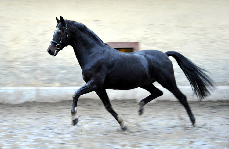 Exclusiv's 22. Geburtstag - Foto: Beate Langels