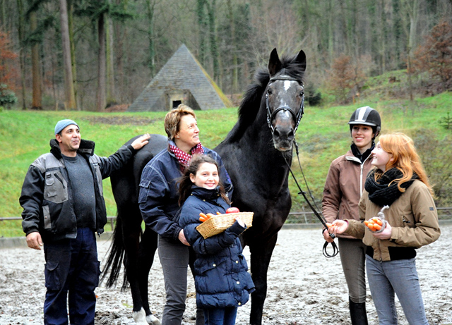 Exclusiv's 23. Geburtstag - Gestt Hmelschenburg am 22. Dezember 2014, Foto: Beate Langels, 
Trakehner Gestt Hmelschenburg - Beate Langels