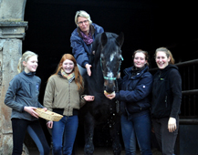 Exclusiv - Foto: Trakehner Gestt Hmelschenburg - Beate Langels