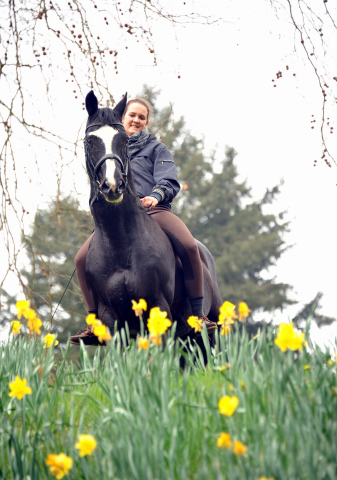 Alter Fritz von Chardonney - Kokoschka - Seeadler - Trakehner Gestt Hmelschenburg