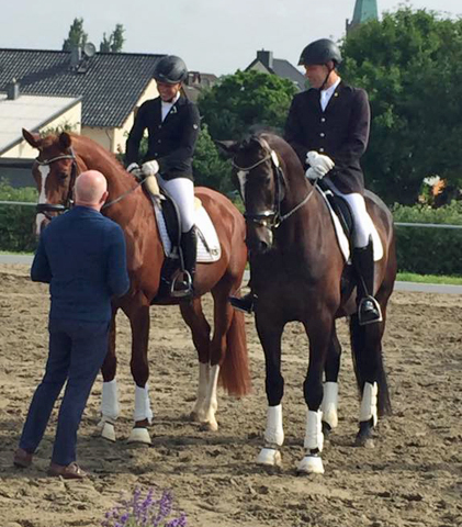 Trakehner SAM`s SON von Saint Cyr u.d. Samsara v. Hyllos, Foto: Astrid Mller, Kamberger Hof