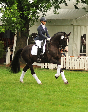 Greenwich Park von Saint Cyr - Foto: Beate Langels - Trakehner Gestt Hmelschenburg