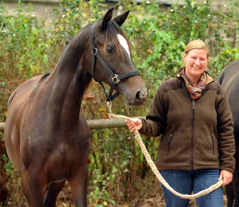 Trakehner Stute Gloria Gaynor von Saint Cyr u.d. Greta Garbo v. Alter Fritz und Pamela Sonnleitner, Gestt Hmelschenburg - Beate Langels