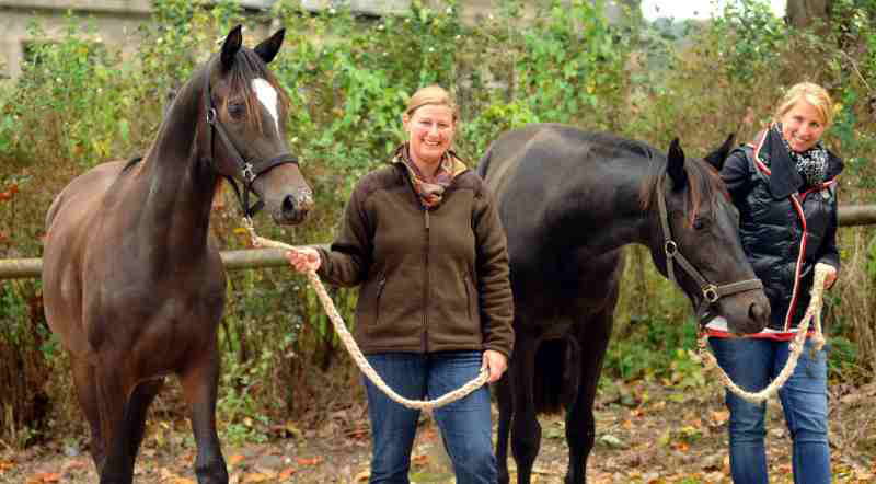 Valerija v. Summertime u.d. Pr.u.StPrSt. Vittoria v. Exclusiv und Gloria Gaynor von Saint Cyr u.d. Greta Garbo v. Alter Fritz, Foto: Beate Langels, Trakehner Gestt Hmelschenburg