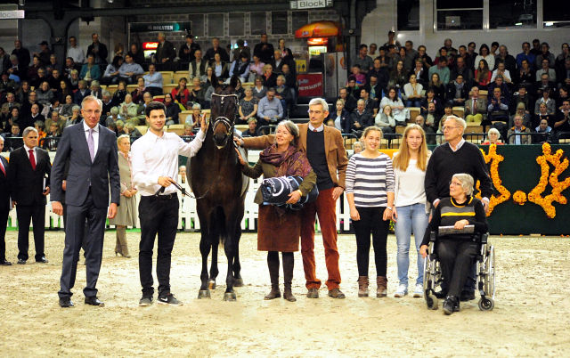 High Five - Trakehner Prmienhengst 2016  von Saint Cyr u.d. Hanna v. Summertime  - Foto: Beate Langels -
Trakehner Gestt Hmelschenburg