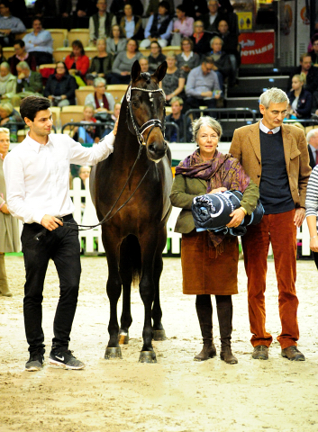 High Five - Trakehner Prmienhengst 2016  von Saint Cyr u.d. Hanna v. Summertime  - Foto: Beate Langels -
Trakehner Gestt Hmelschenburg