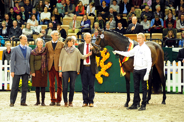 His Moment von Millenium - Le Rouge - Foto: Johanna Kraus - Trakehner Gestt Hmelschenburg