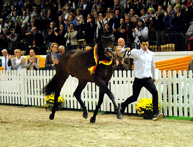 His Moment von Millenium - Le Rouge - Foto: Beate Langels - Trakehner Gestt Hmelschenburg