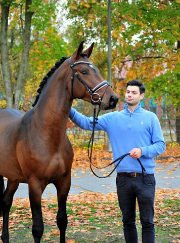 Special Motion von High Motion x Imperio  - Gestt Hmelschenburg - Foto: Beate Langels
