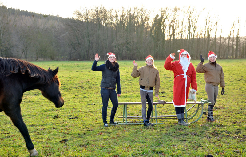 Weihnachtszeit im Trakehner Gestt Hmelschenburg - Foto: Beate Langels