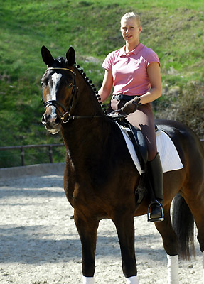 Trakehner Prmienhengst SAINT CYR von Kostolany u.d. Elitestute Schwalbenspiel v. Exclusiv - Foto: Beate Langels - Trakehner Gestt Hmelschenburg